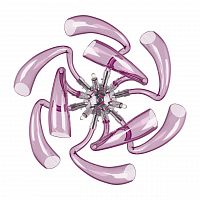 бра lightstar stella 892668 в Бийске