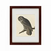 картина: great gray owl, 1834 в Бийске