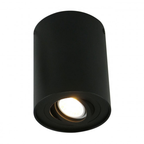 потолочный светильник arte lamp a5644pl-1bk в Бийске