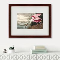 картина: roseate spoonbill, 1827 в Бийске