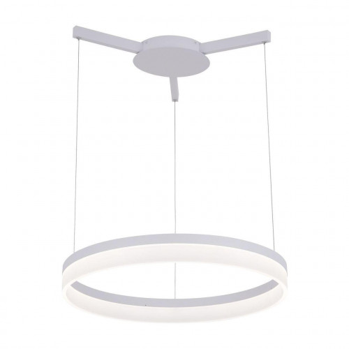 подвесной светодиодный светильник arte lamp a2503sp-1wh в Бийске