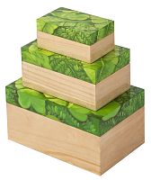 шкатулка leaves small в Бийске