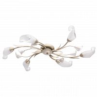 потолочная люстра mw-light восторг 242016906 в Бийске