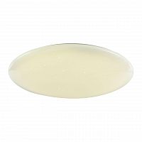 потолочный светодиодный светильник f-promo luna 2319-10c в Бийске