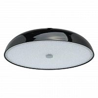 потолочный светильник mw-light канапе 708010205 в Бийске