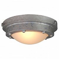 потолочный светильник lussole loft grlsp-9999 в Бийске
