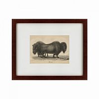 картина: bison, 1828 в Бийске