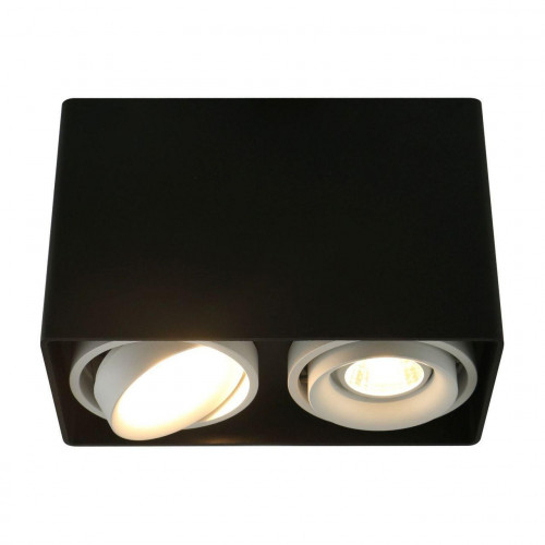 потолочный светильник arte lamp a5655pl-2bk в Бийске