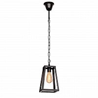 подвесной светильник loft it loft1127 в Бийске