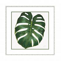 постер monstera зеленый в Бийске
