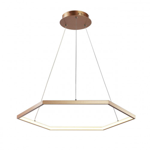 подвесной светодиодный светильник favourite hexagon 2103-6p в Бийске