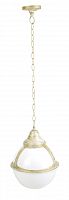 уличный подвесной светильник arte lamp monaco a1495so-1wg в Бийске