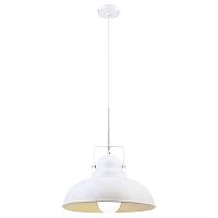 подвесной светильник arte lamp martin a5213sp-1wg в Бийске
