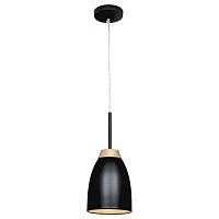 подвесной светильник loft it restor loft4402a-bl в Бийске
