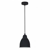 подвесной светильник arte lamp braccio a2054sp-1bk в Бийске