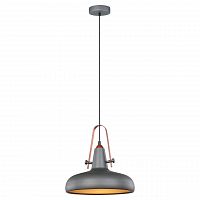 подвесной светильник lussole loft lsp-9814 в Бийске