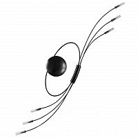 бра lightstar ovale 784667 в Бийске