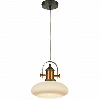 подвесной светильник lussole loft lsp-9845 в Бийске