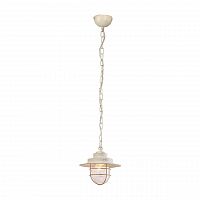 подвесной светильник arte lamp a7022sp-1wg в Бийске