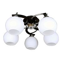 потолочная люстра omnilux caldiero oml-25407-05 в Бийске
