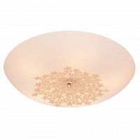 потолочный светильник silver light verbena 835.50.5 в Бийске