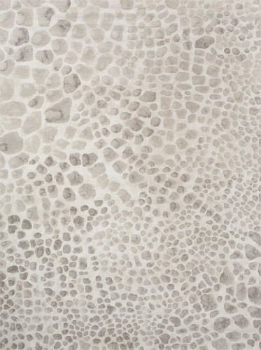 ковер ivory 64227i6575 120x170 в Бийске