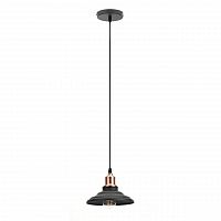подвесной светильник эра loft pl4 bk/rc в Бийске