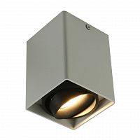 потолочный светильник arte lamp a5655pl-1wh в Бийске