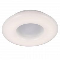 потолочный светильник st luce sl902.502.01d в Бийске