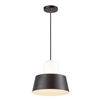подвесной светильник odeon light alur 4141/1 в Бийске