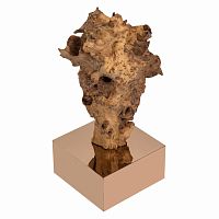 декор burlwood 87 cm в Бийске