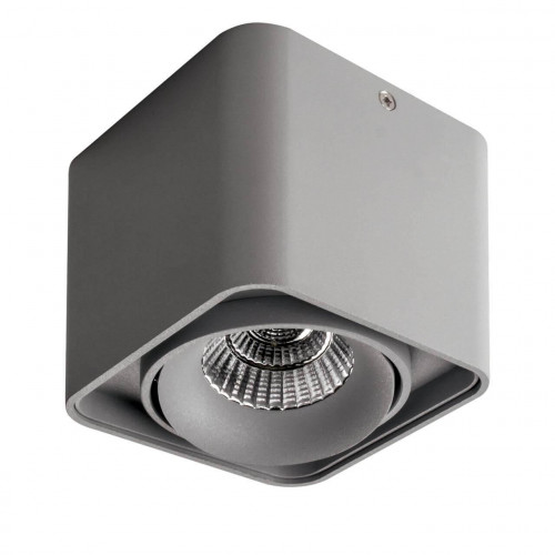 потолочный светодиодный светильник lightstar monocco 052119r в Бийске