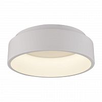 потолочный светодиодный светильник arte lamp a6245pl-1wh в Бийске
