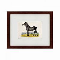 картина: a zebra, 1830 в Бийске