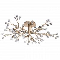 потолочная люстра mw-light адриатика 280011810 в Бийске