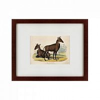 картина: two nilgais, 1830 в Бийске