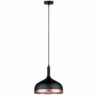 подвесной светильник paulmann embla 79629 в Бийске