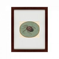 картина: spider, 1690 в Бийске