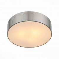 потолочный светильник st luce bagno sl468.502.01 в Бийске