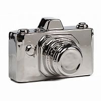 предмет декора camera серебряная в Бийске