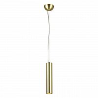 подвесной светодиодный светильник favourite pendenti 1965-1p в Бийске