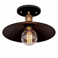 потолочный светильник loft it loft3101c в Бийске