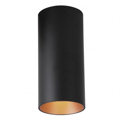 потолочный светодиодный светильник favourite drum 2249-1u в Бийске