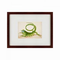 картина: green iguana, 1701 в Бийске