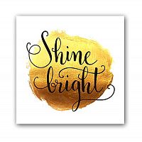 постер shine а3 в Бийске