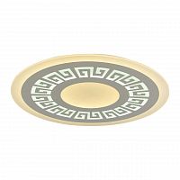 потолочный светодиодный светильник f-promo ledolution 2273-8c в Бийске