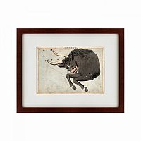 картина: signs of zodiac taurus, 1825 в Бийске