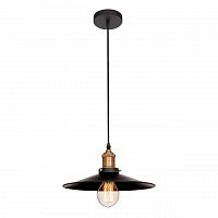 подвесной светильник loft it loft1102 в Бийске