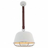 подвесной светильник lussole loft grlsp-8043 в Бийске