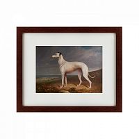 картина: portrait of a greyhound, 1744 в Бийске
